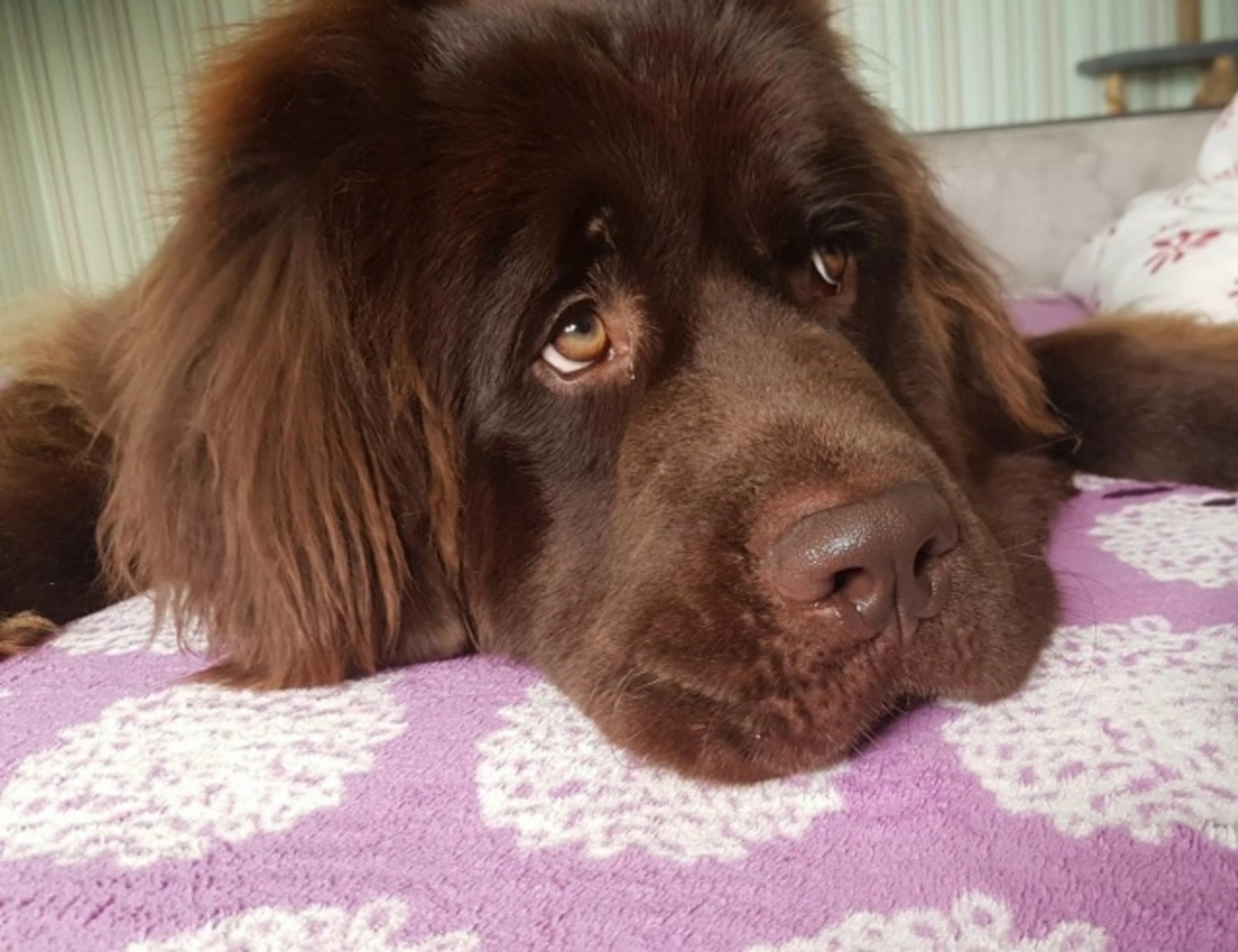 Сколько нужно спать, чтобы быть здоровым: рекомендации Роспотребнадзора Башкирии