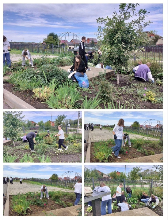 Учащиеся «Школы Успеха» в Жуково провели осенний субботник