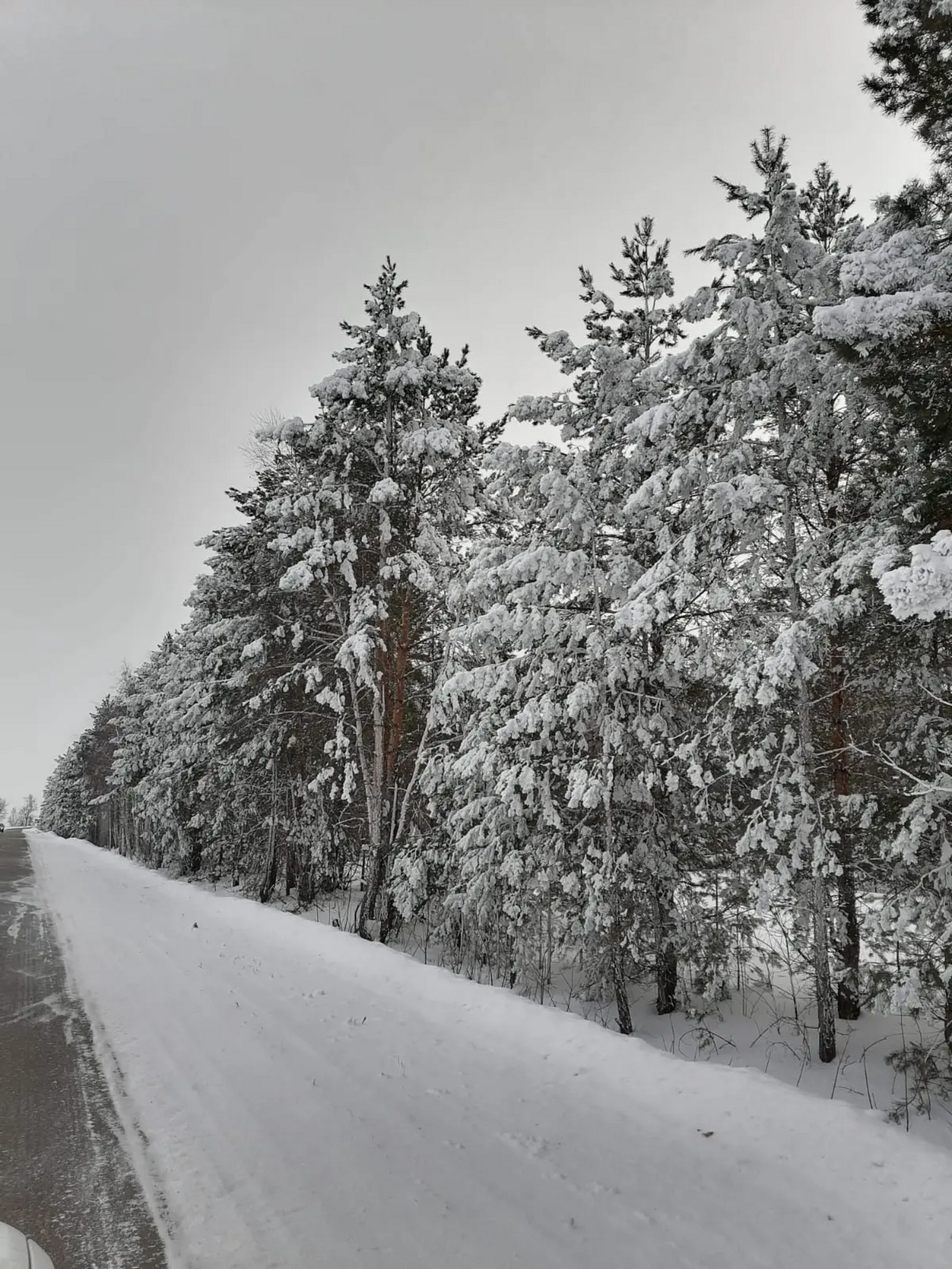 ГАИ Башкирии предупреждает о неблагоприятных погодных условиях на дороге