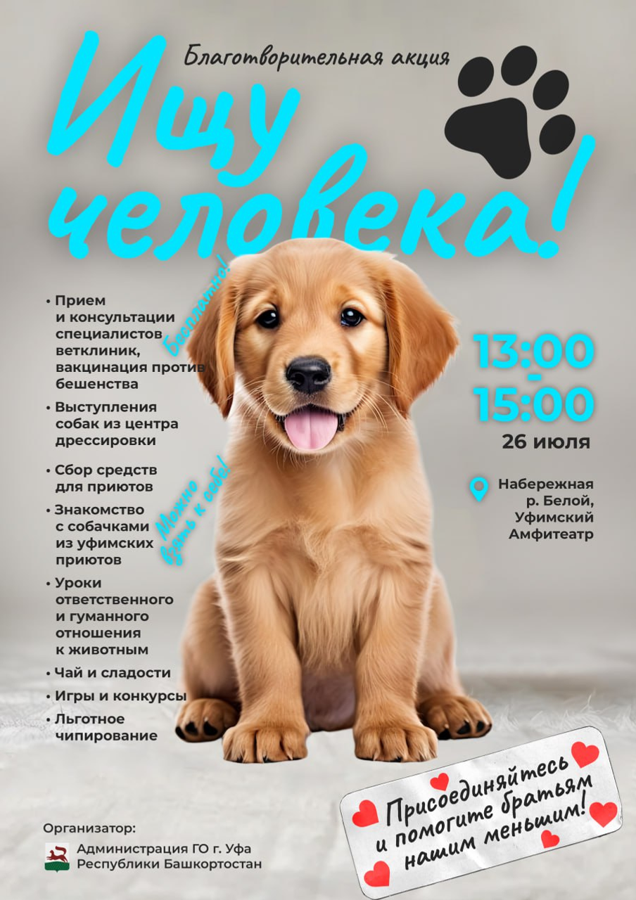 В Уфе пройдет благотворительная акция для помощи бездомным животным