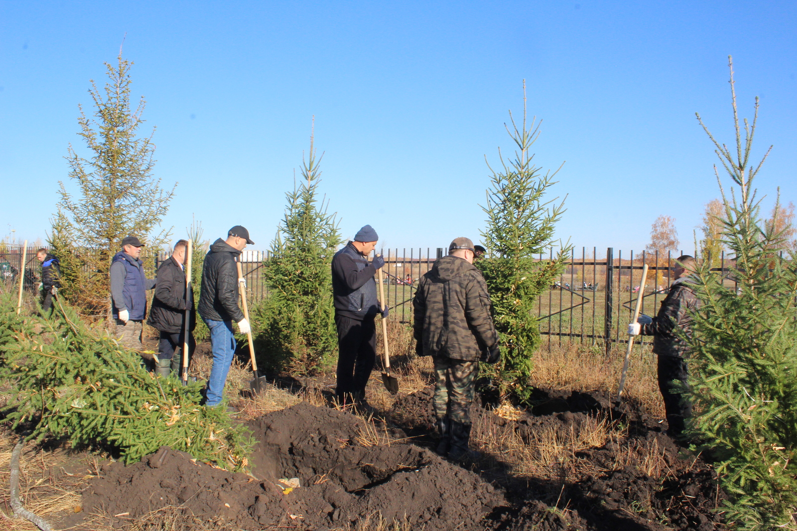 Акция «Зелёная Башкирия»:  посажены деревья с QR кодами