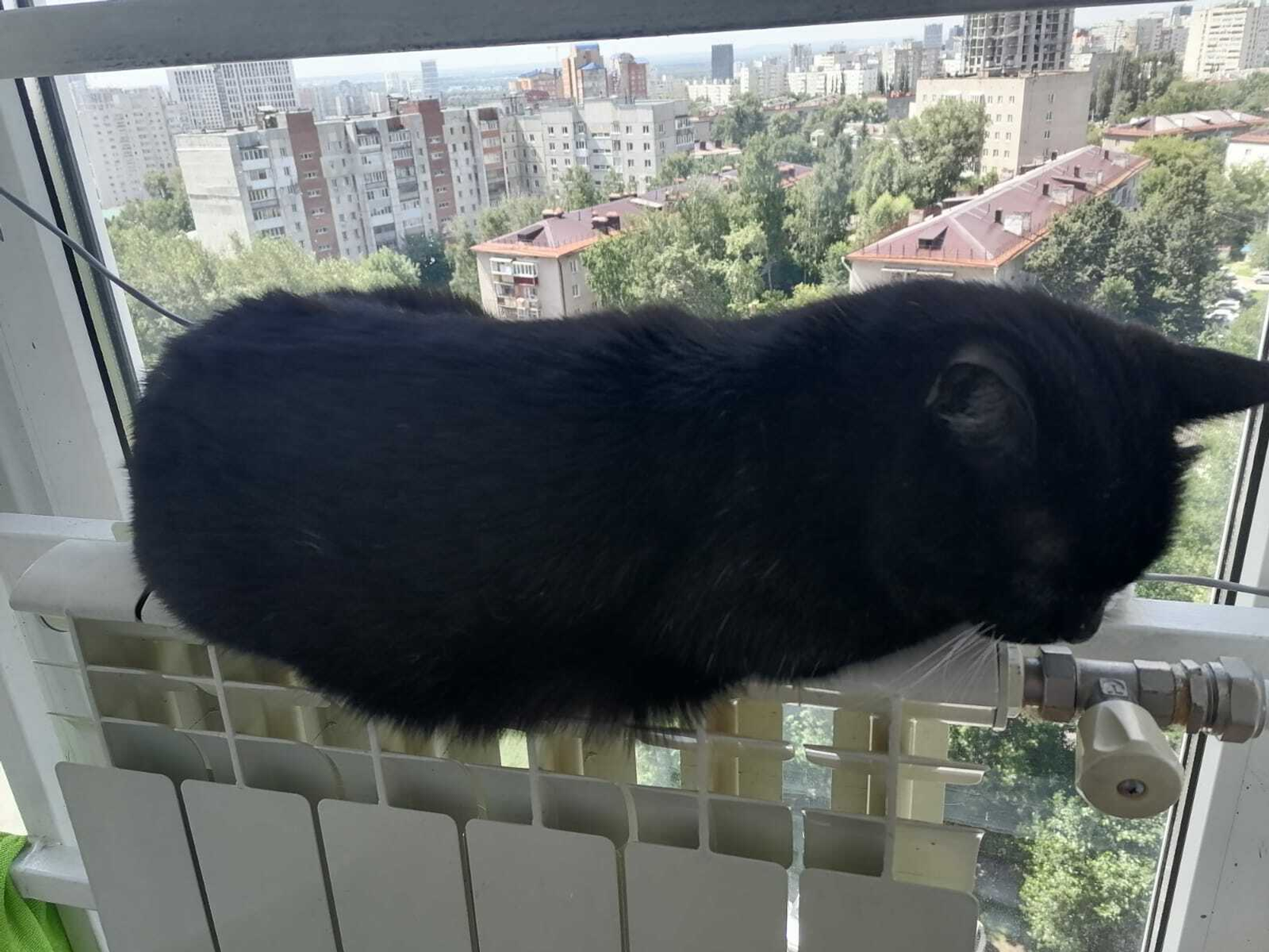 Что за цветная вода потечет из батарей в Уфе? Объясняет БашРТС