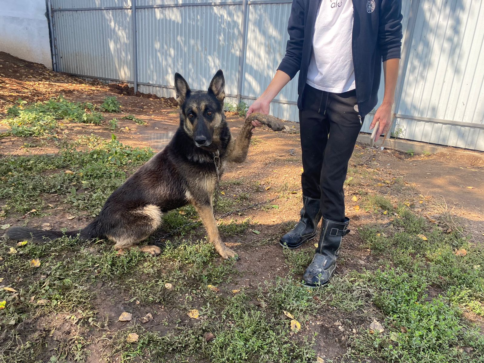 День открытых дверей в пункте временного содержания животных Уфимского района!