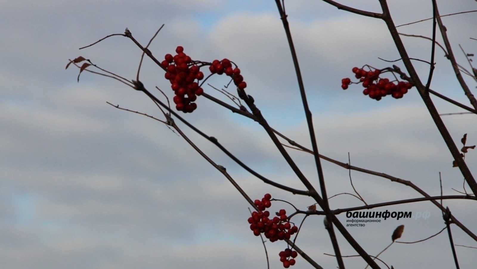 В выходные в Башкирии погода испортится, обещают похолодание и осадки