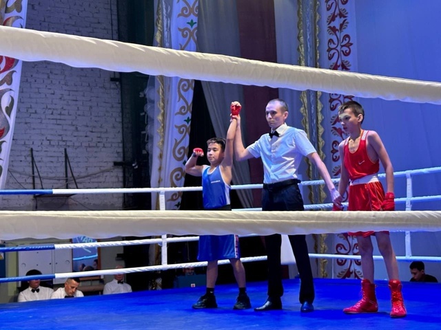 В Уфимском районе завершились республиканские соревнования по боксу