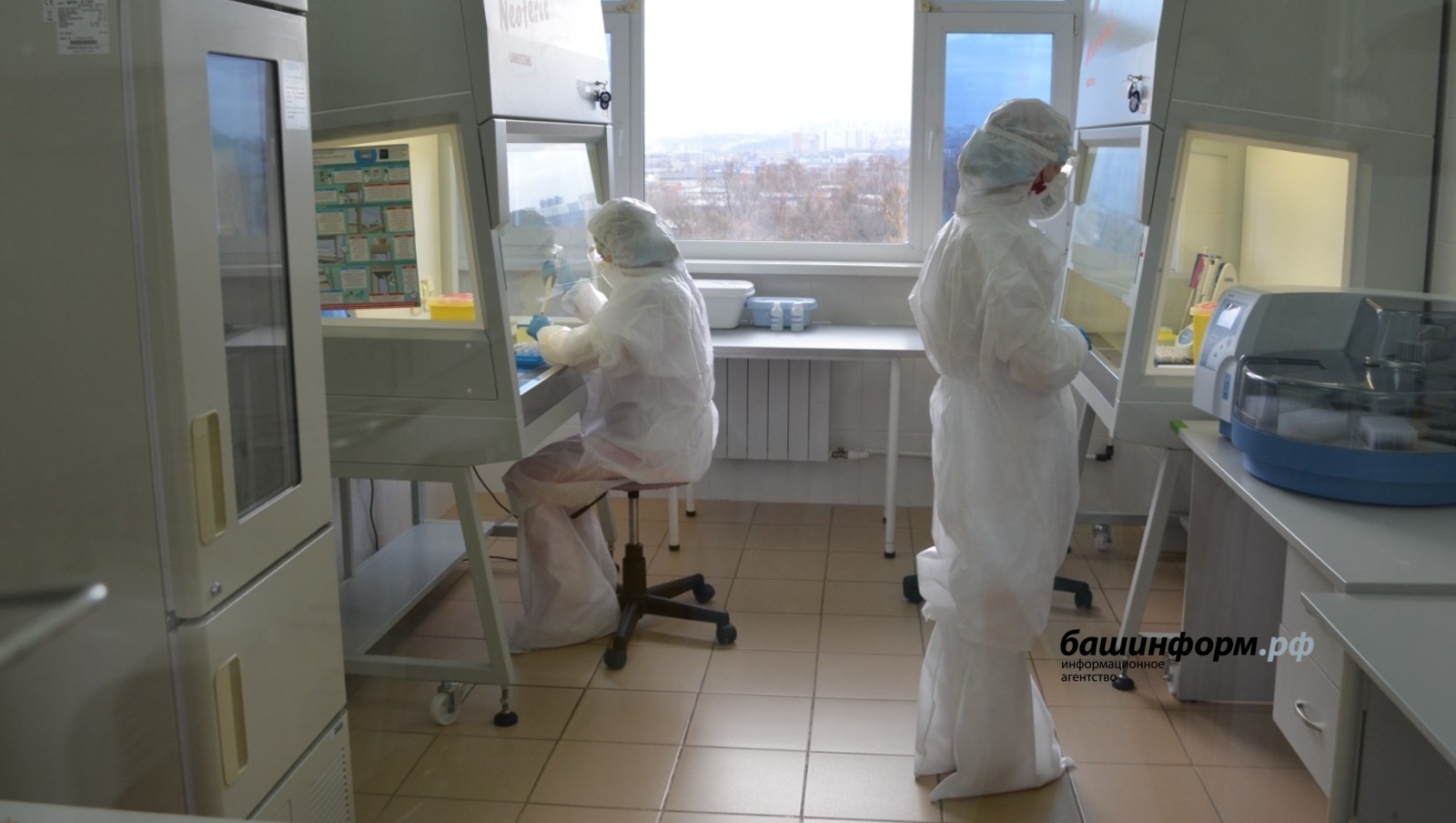 В России выявлено первое заражение новым «кракен»-штаммом коронавирусной инфекции