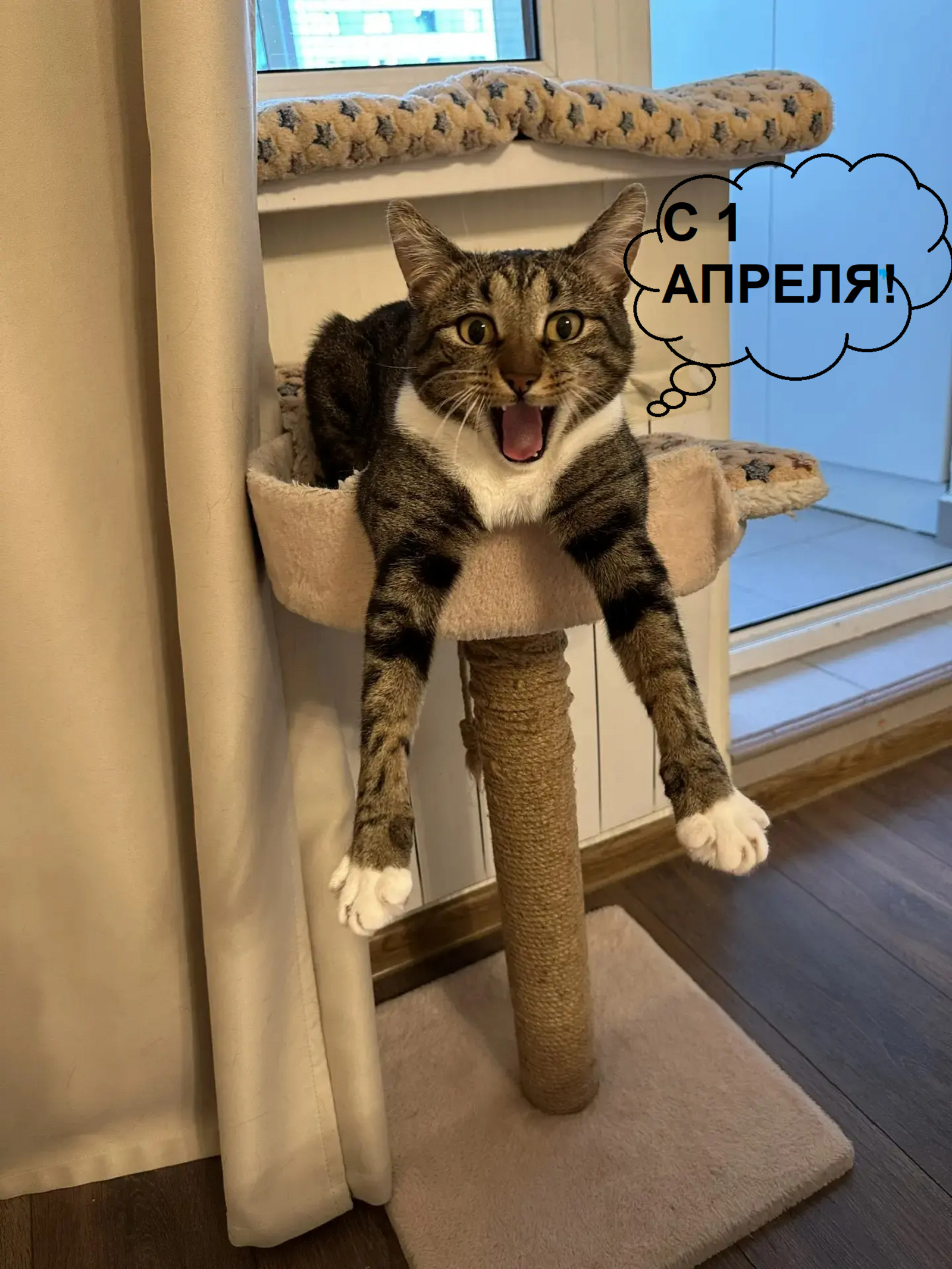 1 апреля – никому не верю! Или как найти повод посмеяться