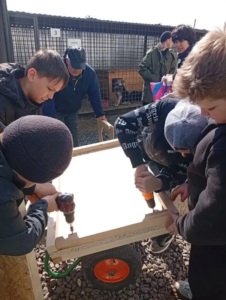 Учащиеся школы «Гармония» построили будки для животных в Кармасане