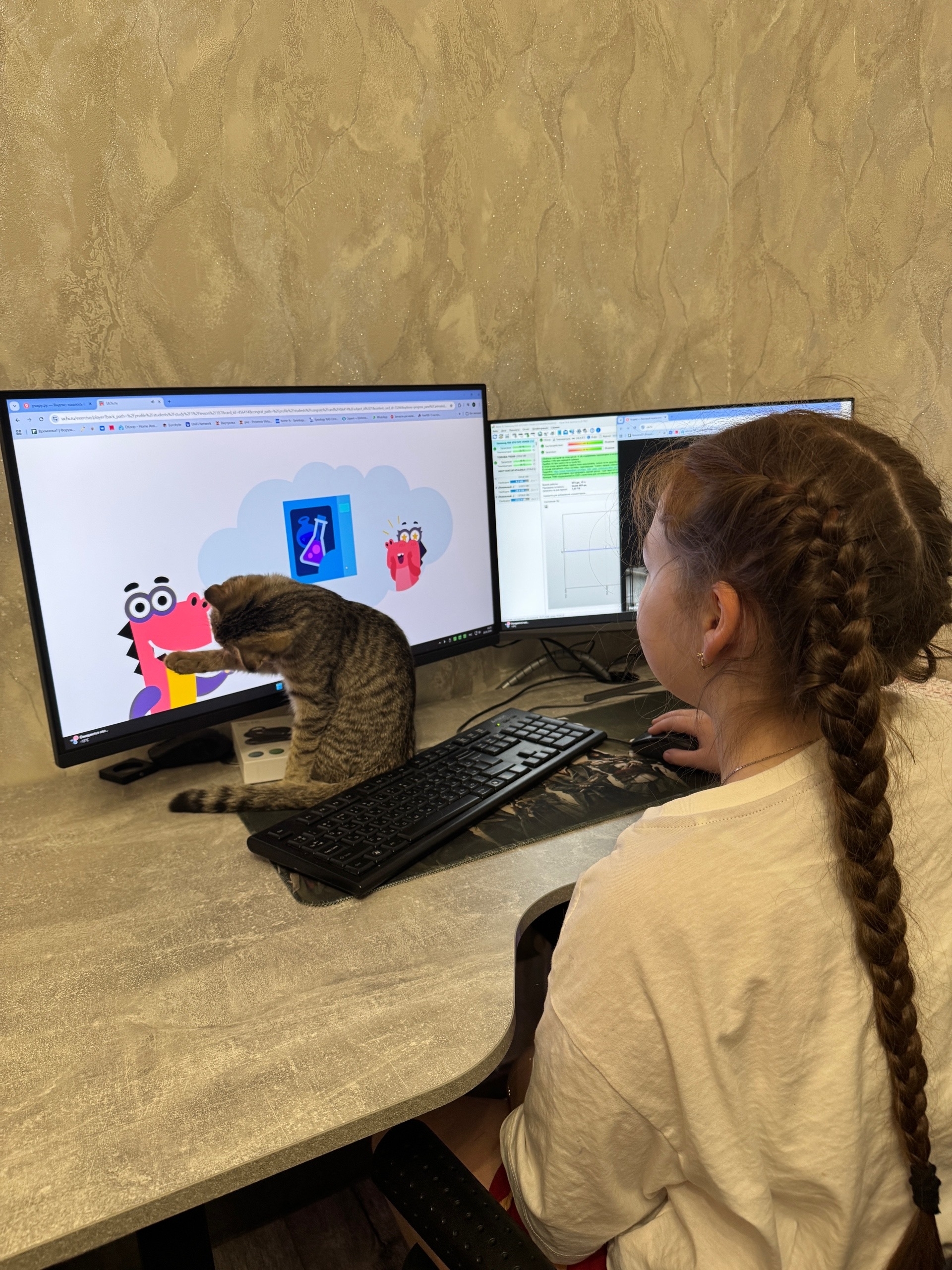 «Уфимские нивы» подвели итоги фотоконкурса «Мой пушистый помощник»