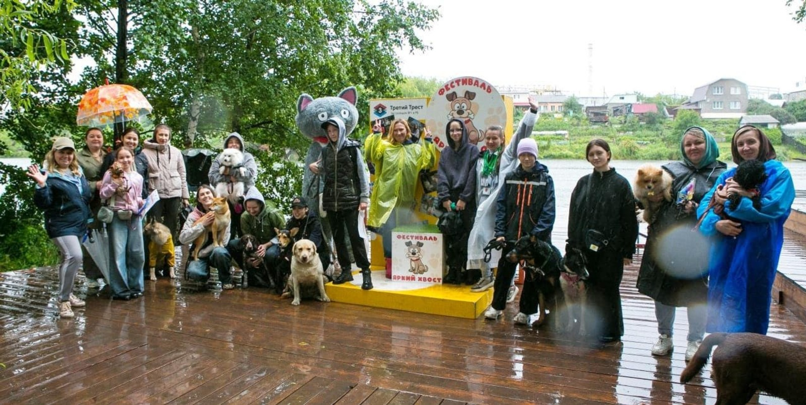 В Уфе установили туалеты для собак