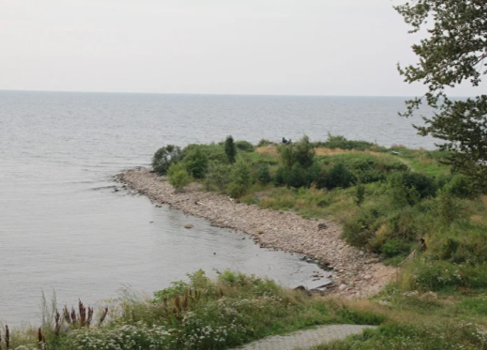 Башкирские школьники представят VR-проект на Всероссийском экофоруме