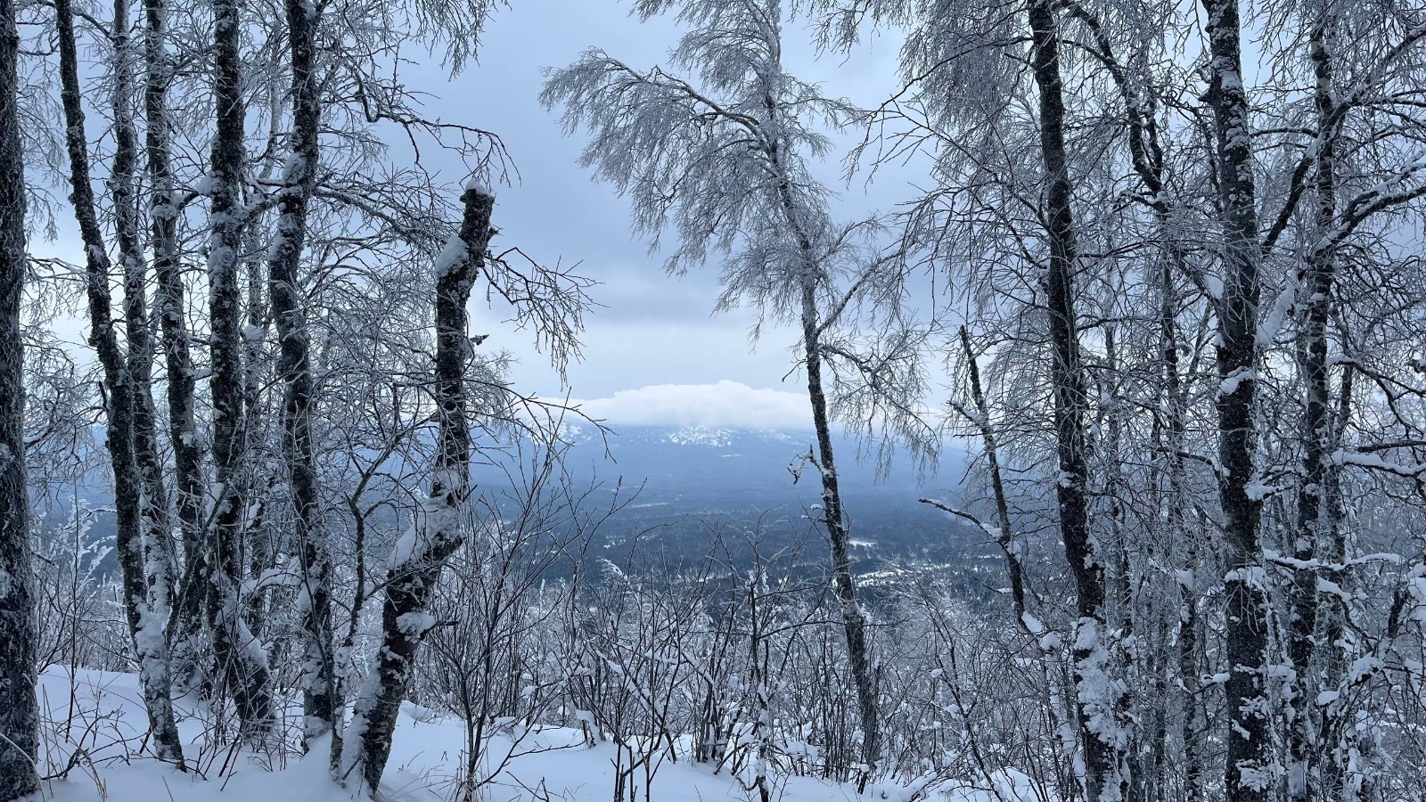 В Башкирии с начала года выпала треть месячной нормы снега