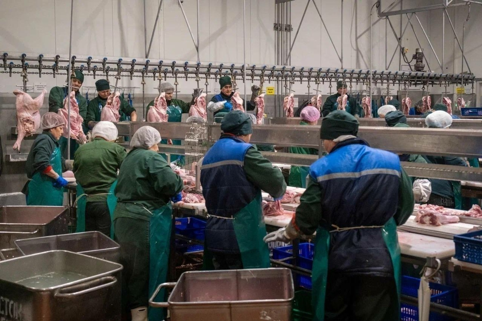 Башкирское предприятие экспортировало 18,5 тонн мяса индейки в Азербайджан