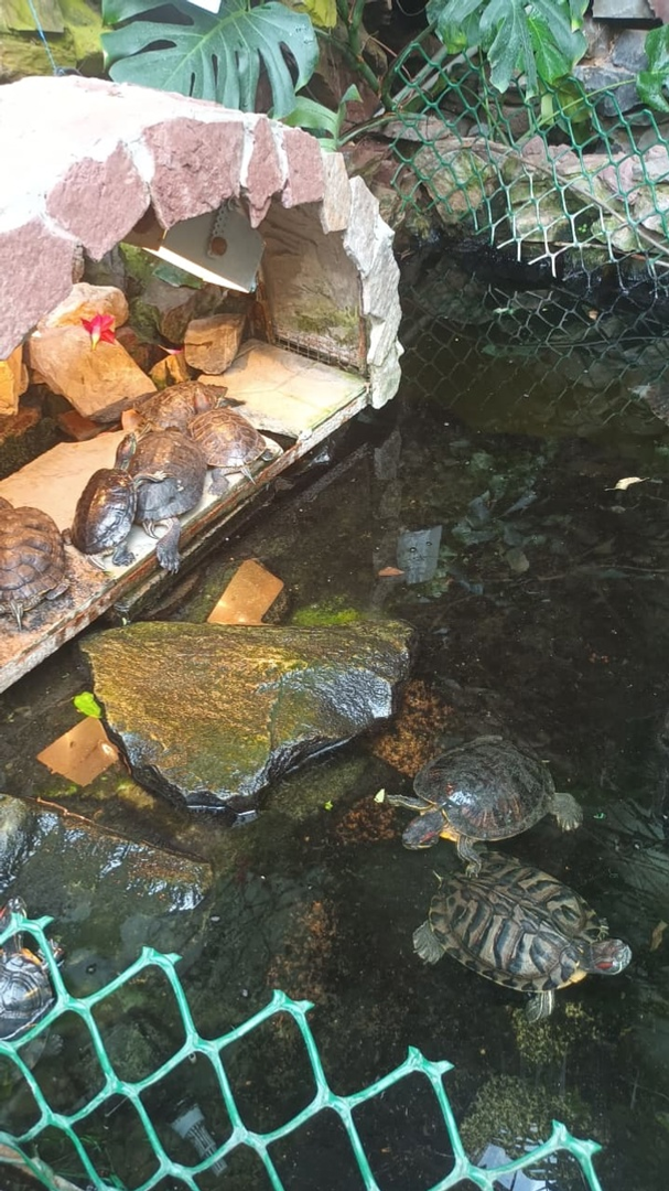 Жители Уфимского района посетили ботанический сад Уфы