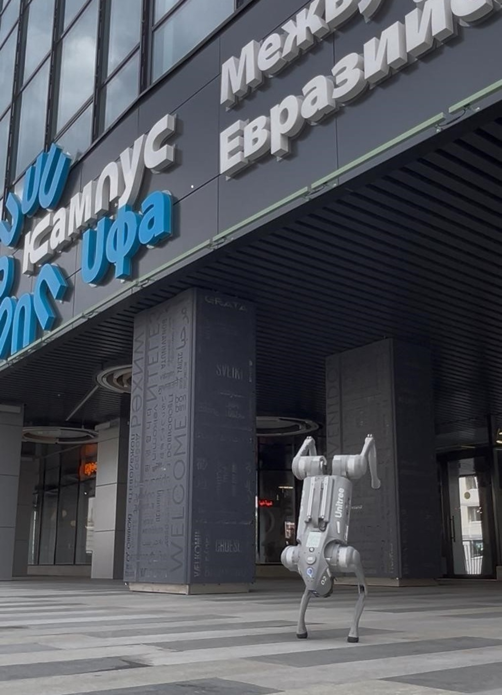 На Уфимском марафоне выступит робот-собака