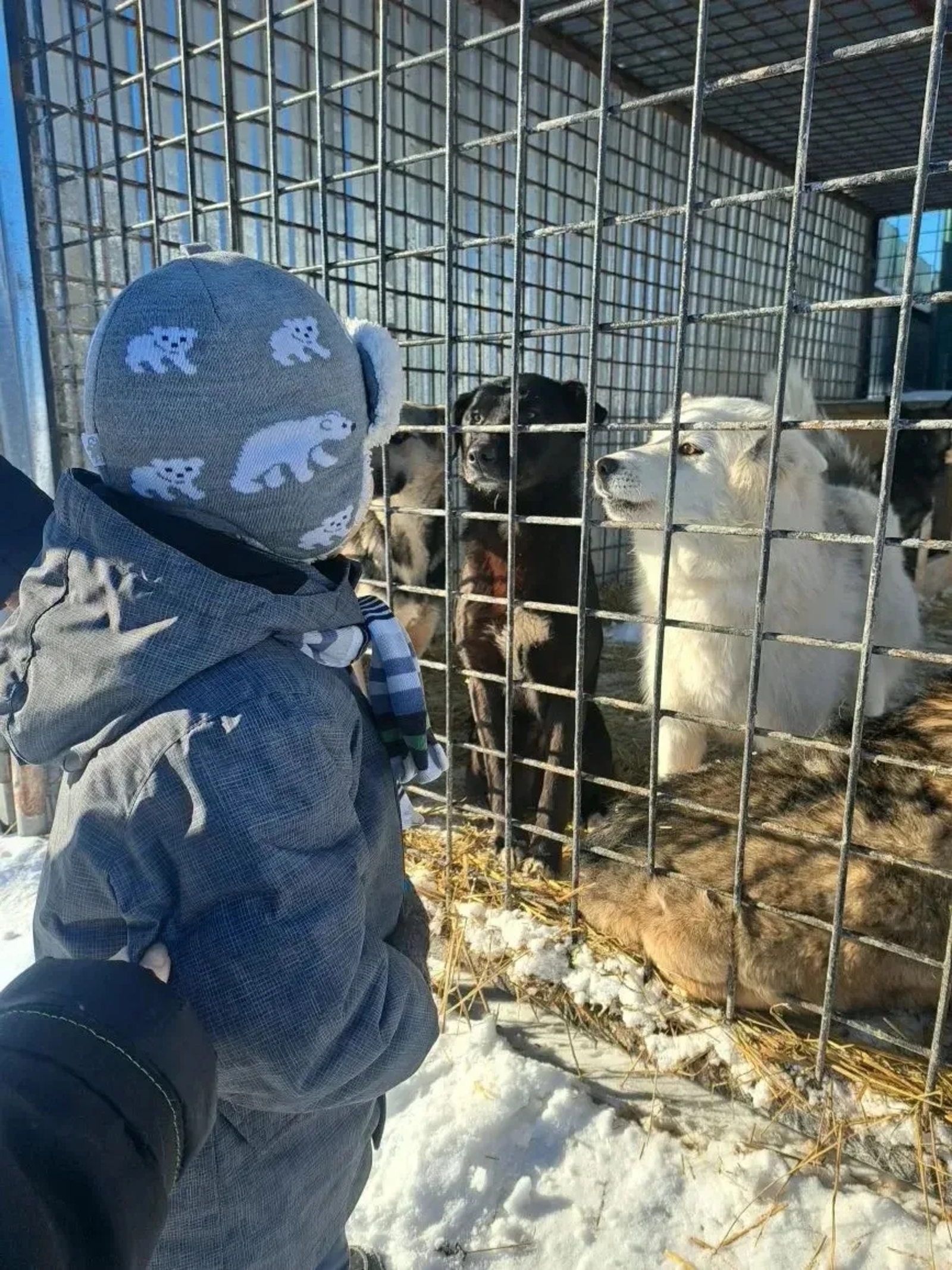 В Уфимском районе детям из соцприюта организовали урок доброты