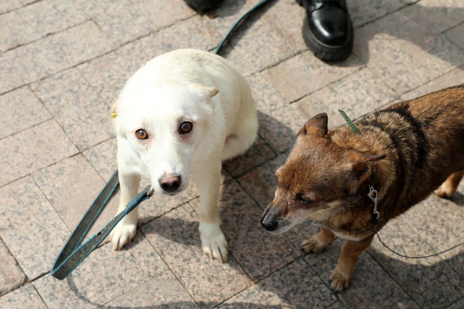 В Уфе пройдёт очередной этап благотворительной акции «Ищу человека»