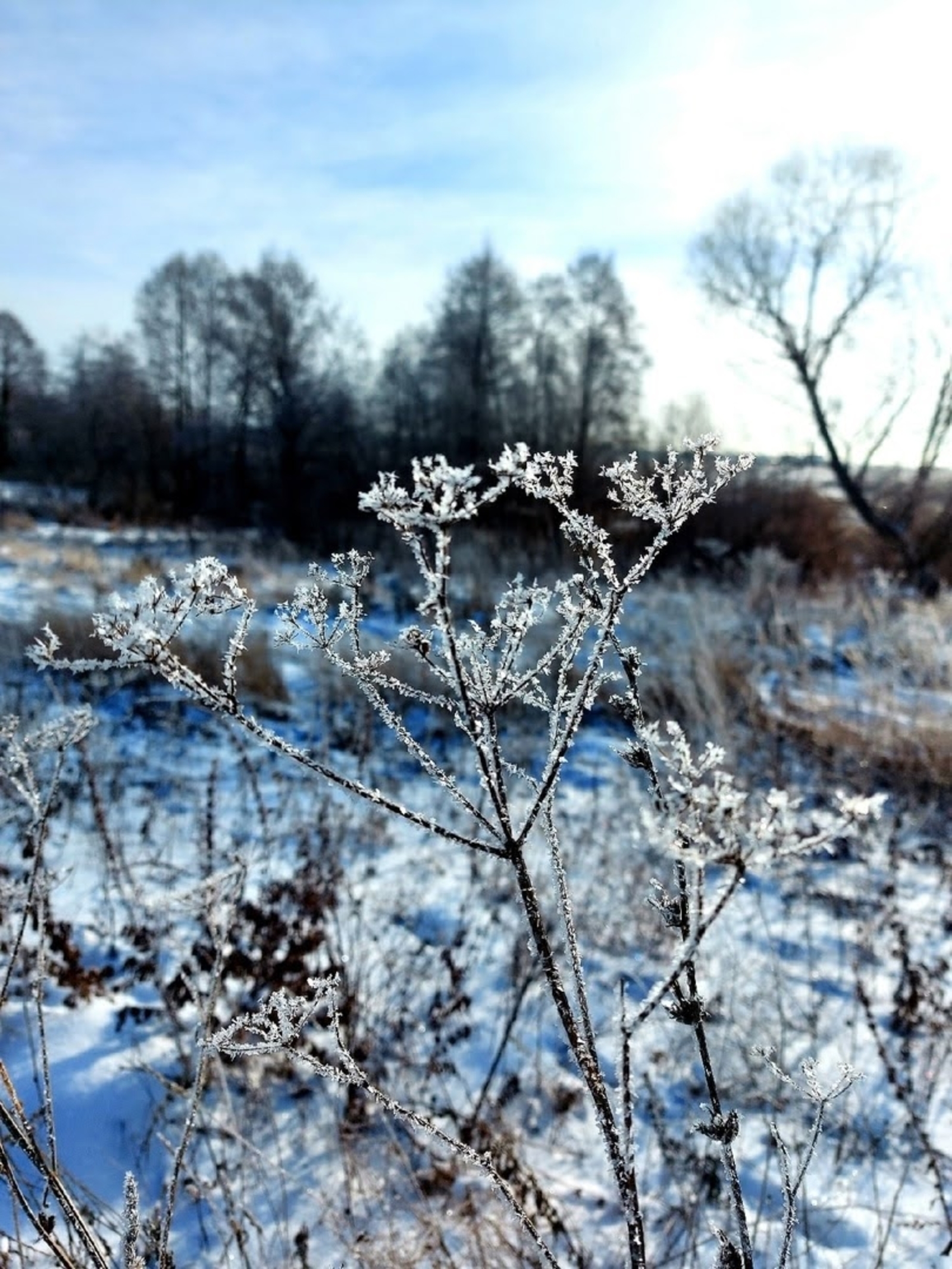В Башкирии ожидается мокрый снег и гололедица при потеплении до +4°