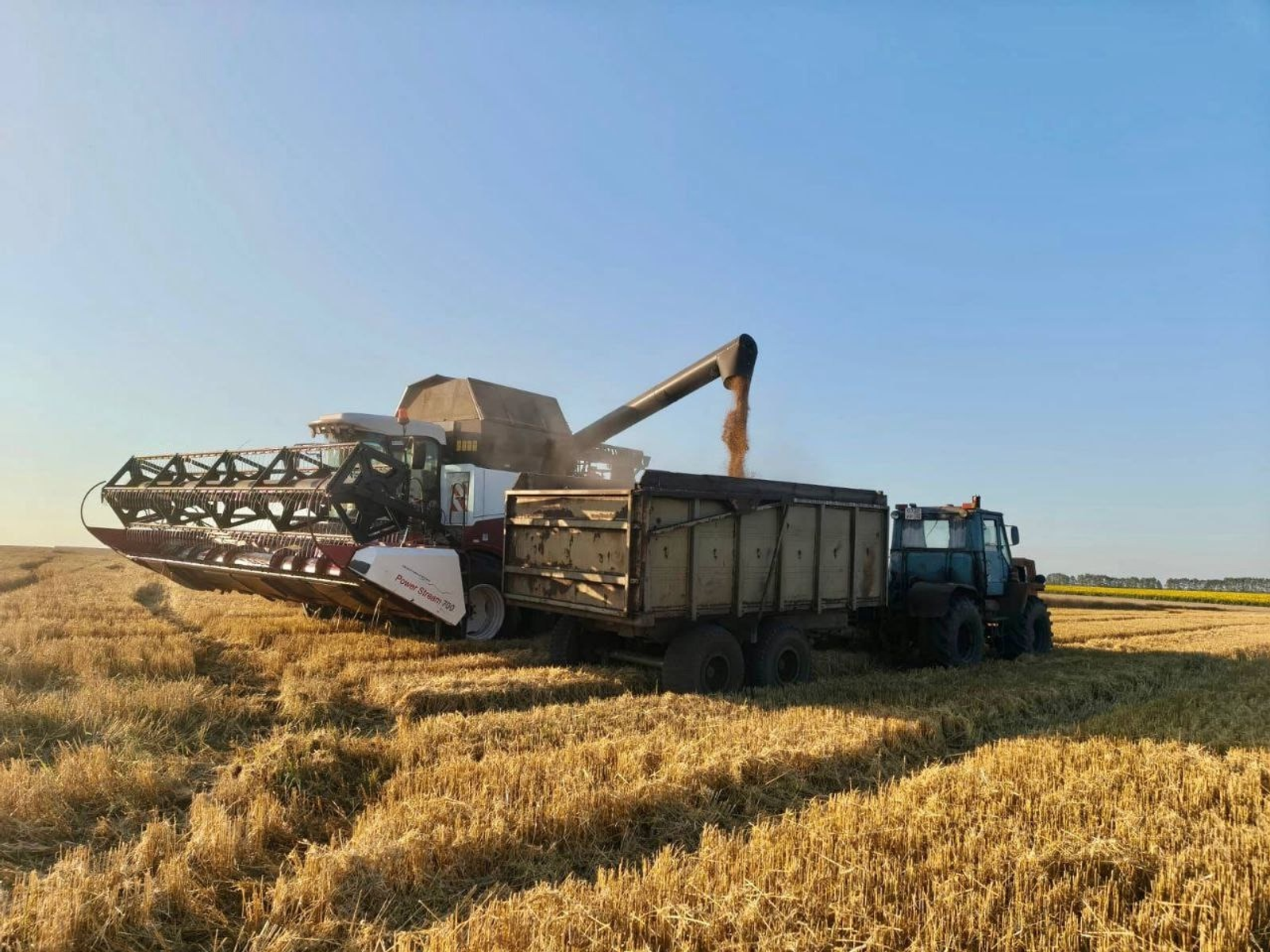 В Уфимском районе собирают богатый урожай
