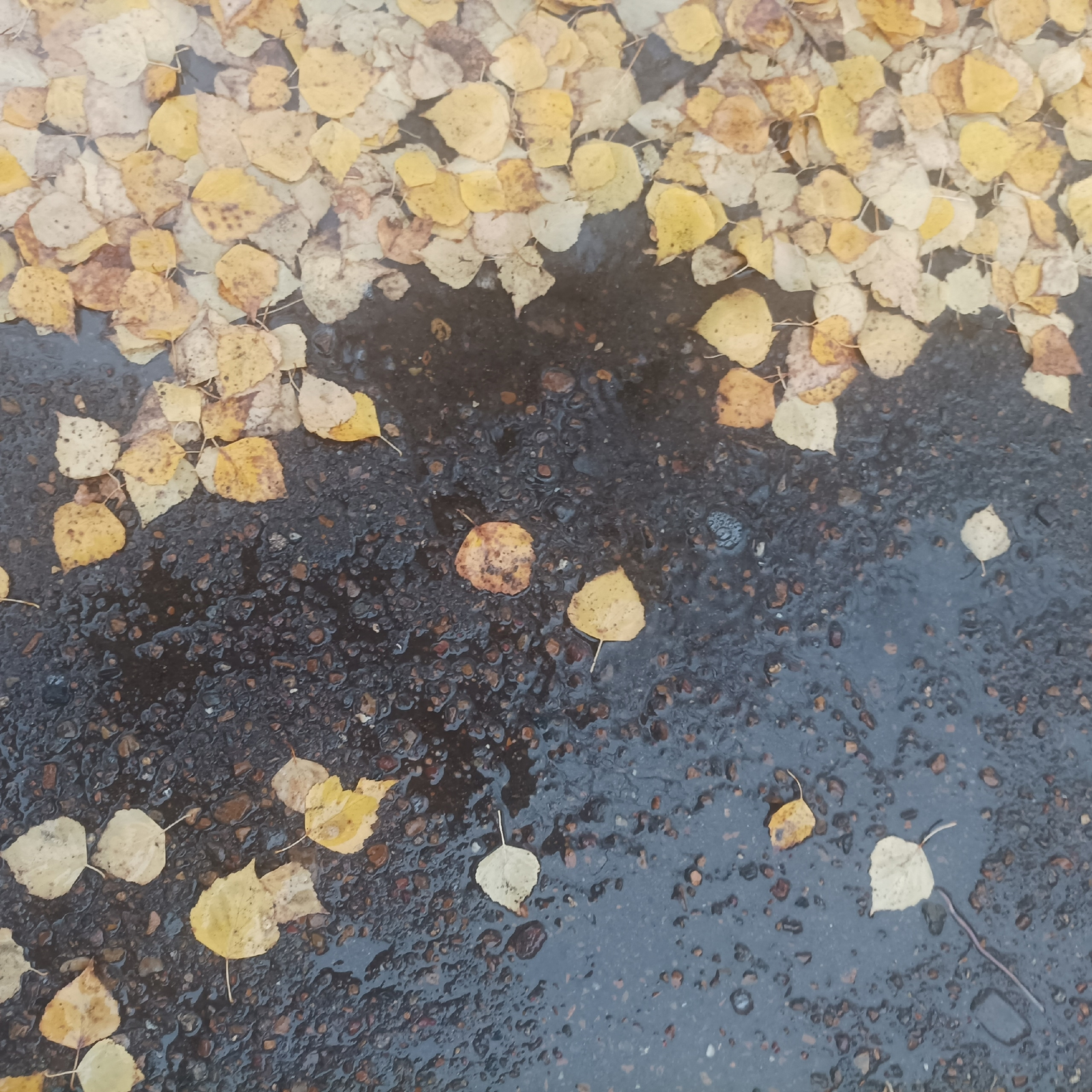 В Башкирии ожидается похолодание до -7°