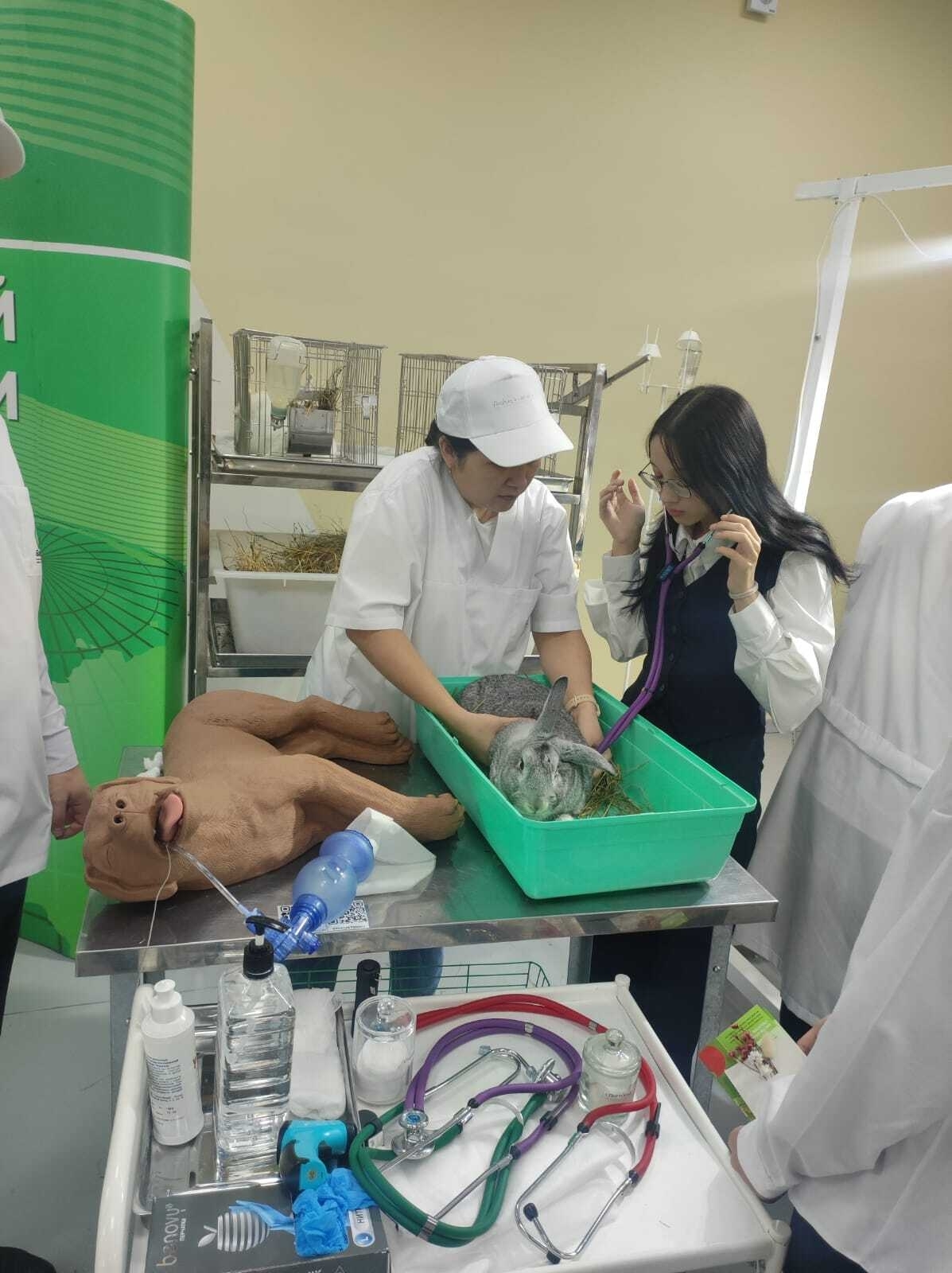 Школьники Уфимского района познакомились с профессиями аграрной сферы