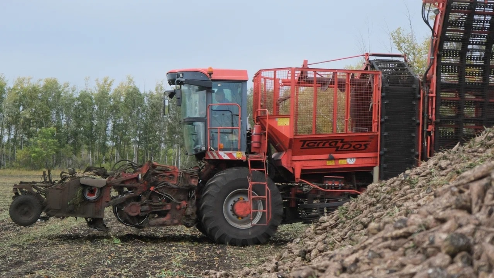 В Башкирии началась активная уборка сахарной свеклы