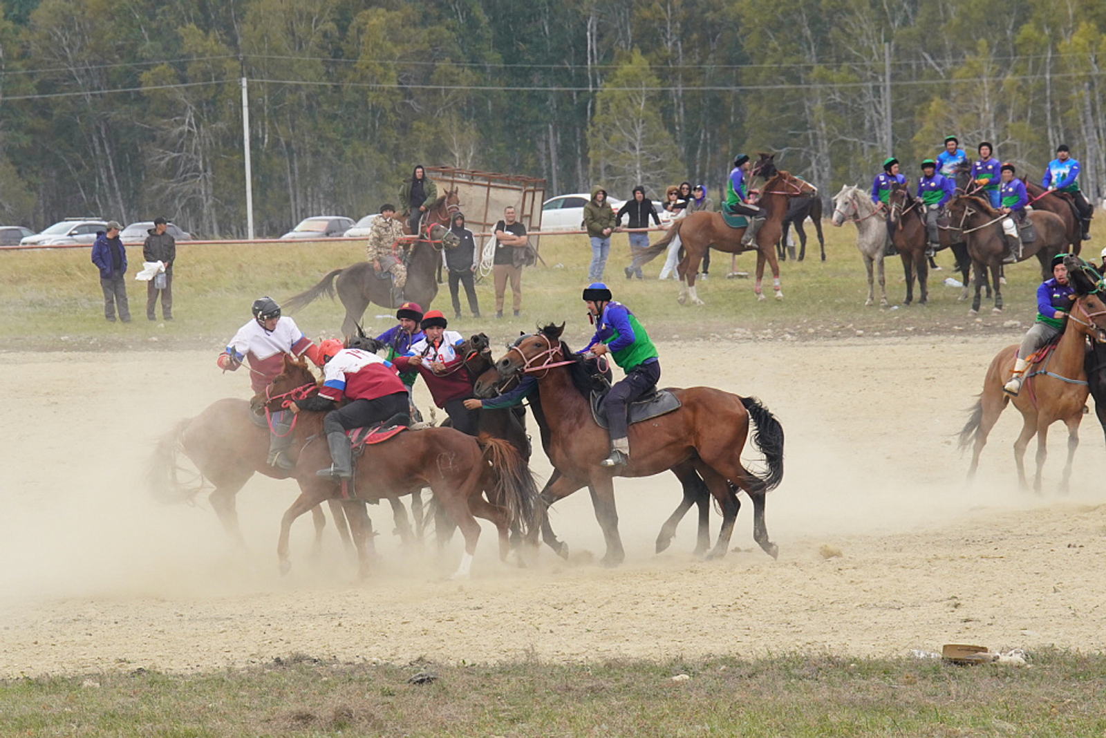 Башкирские лошади стали звездами клипа известной группы