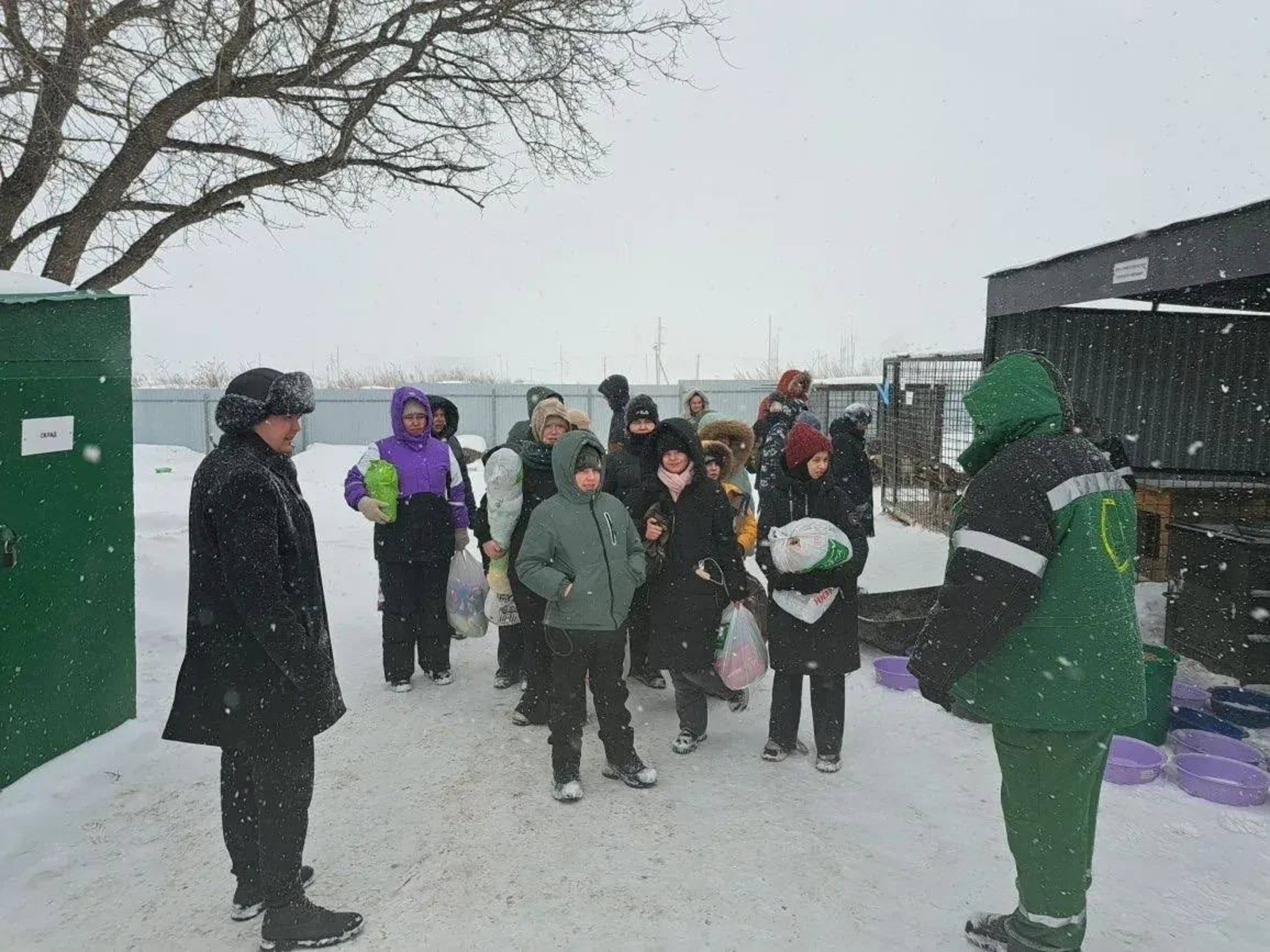 Как в Уфимском районе решают проблему безнадзорных животных