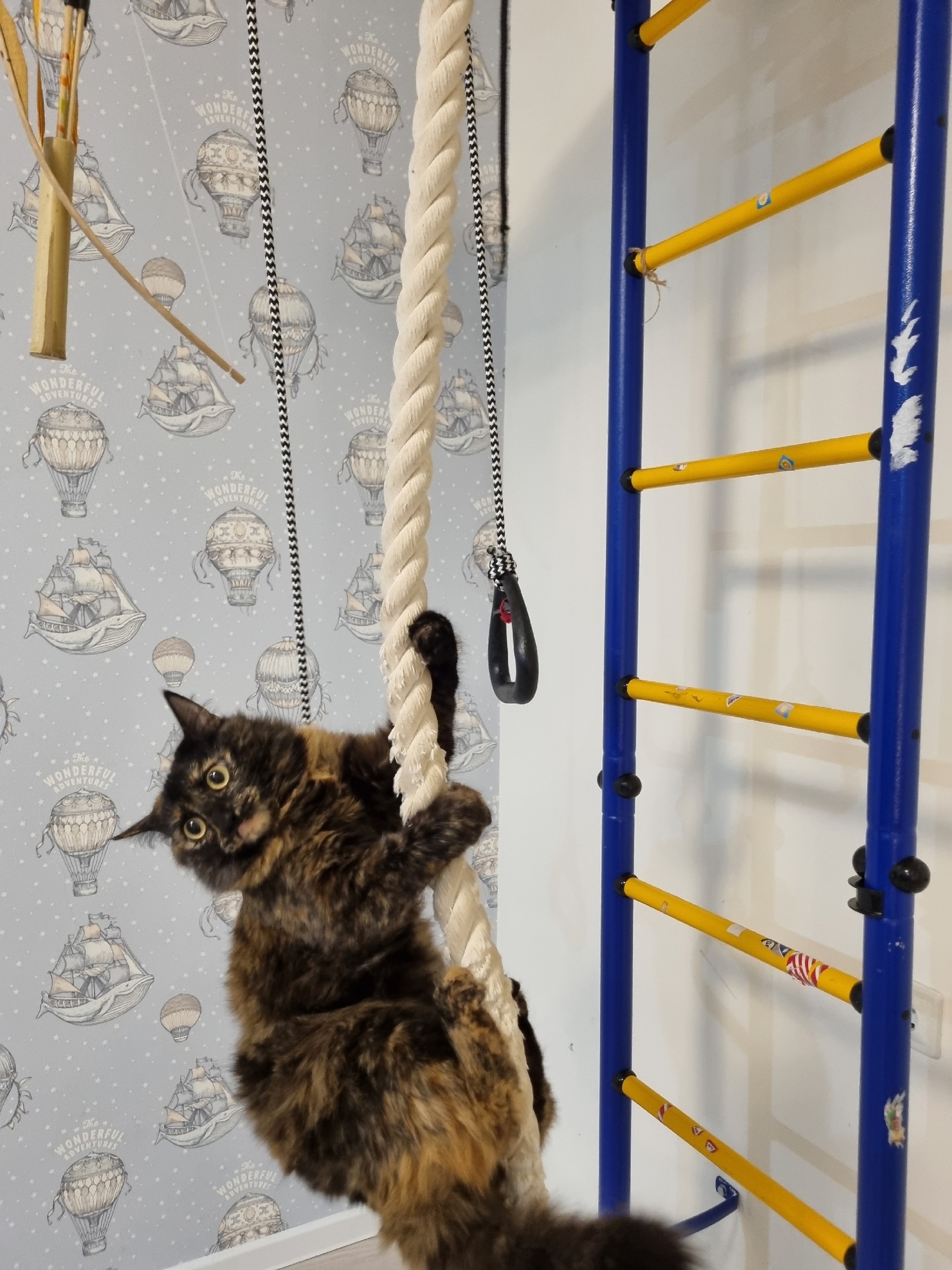 «Уфимские нивы» подвели итоги фотоконкурса «Мой пушистый помощник»