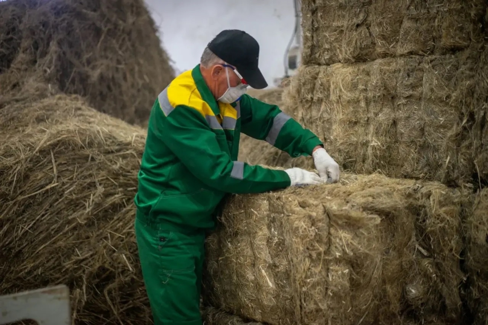 В Башкирии реализуется сельхозпроект, который помогает уменьшить выбросы CO₂