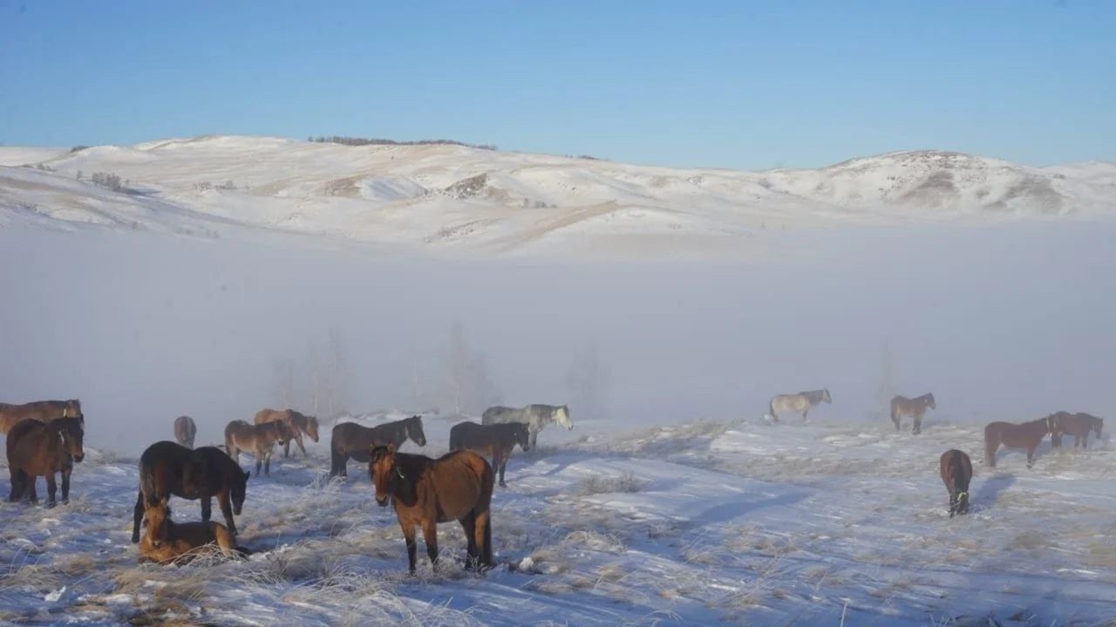 Радий Хабиров опубликовал в своих соцсетях необычные фото