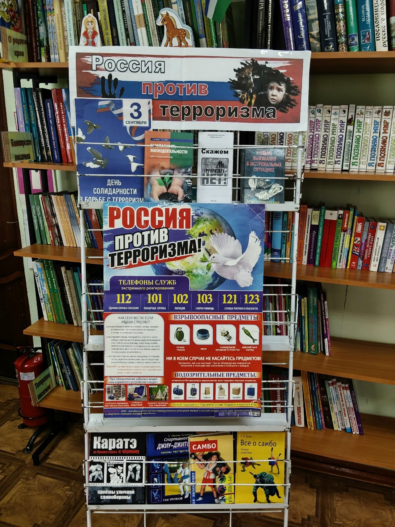 В библиотеке села Михайловка прошел информационный час «Мир против терроризма»