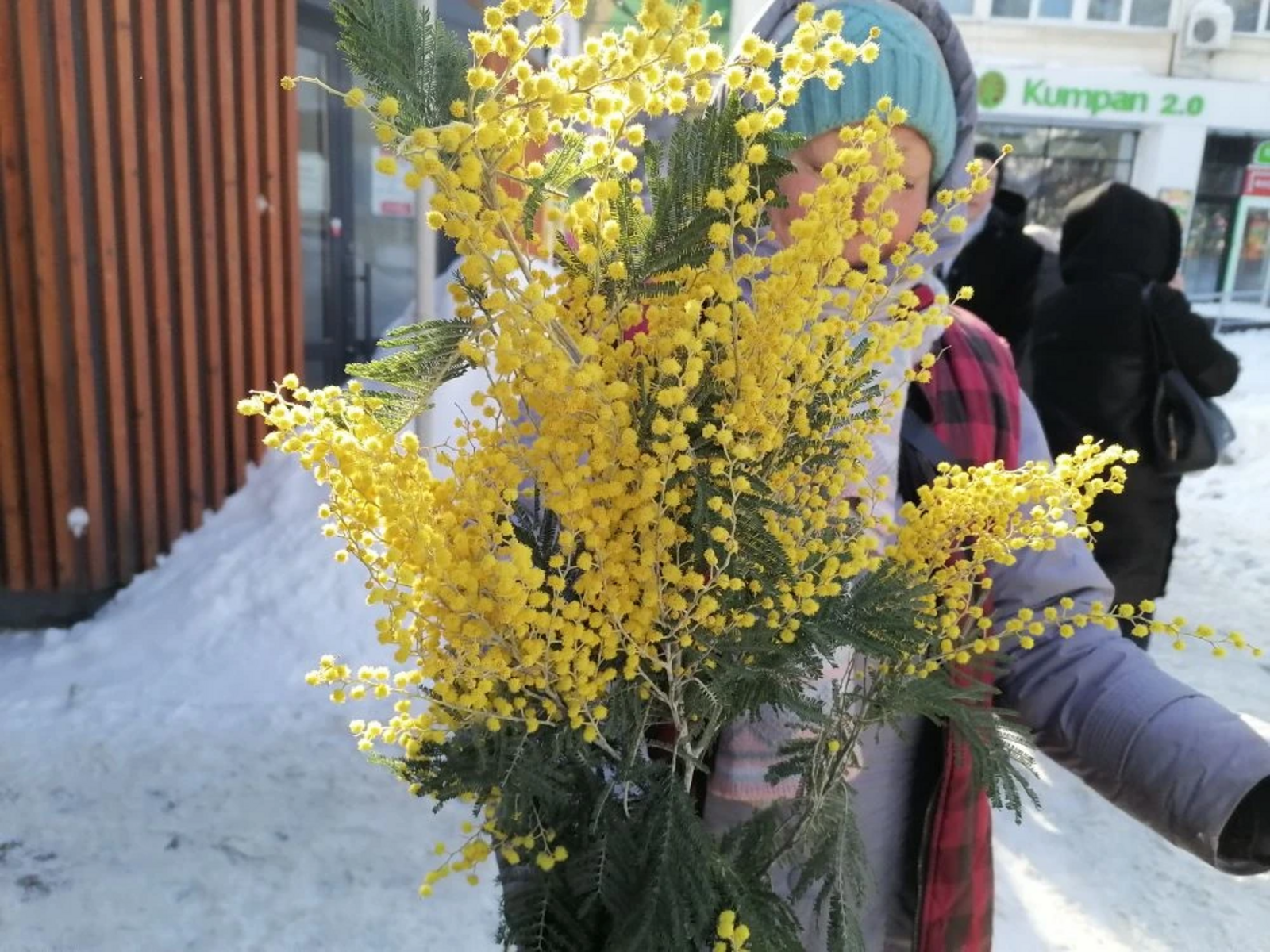 На улицах столицы Башкирии появилась мимоза к 8 марта